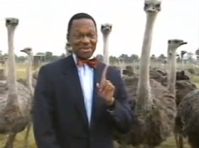 Ostrich attack!